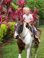 leilani horse at pavones costa rica surf